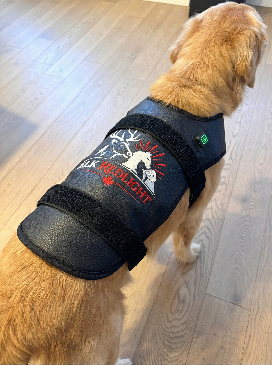 Medium Dog Back Red Light Therapy Wrap