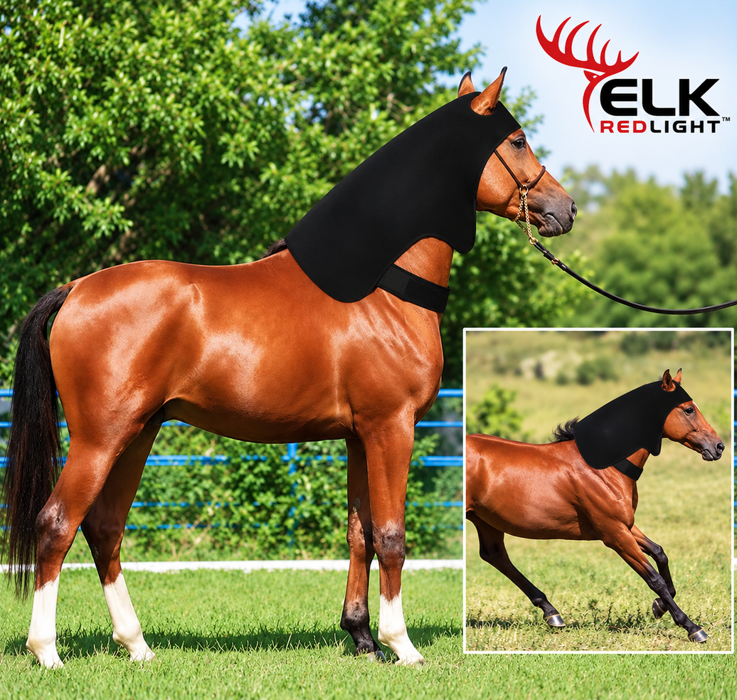 Horse Head & Neck Red Light Therapy Wrap — Larger Coverage