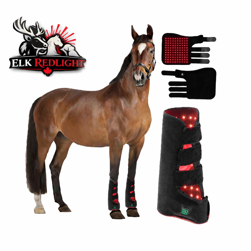 Elk Tendon Wrap™ – Red & Infrared Light Therapy for Equine Legs