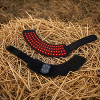 Horse Red Light Therapy for Hoof Health & Recovery