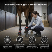 Red light therapy hoof wrap 660nm 850nm 940 nm for horse hoof health