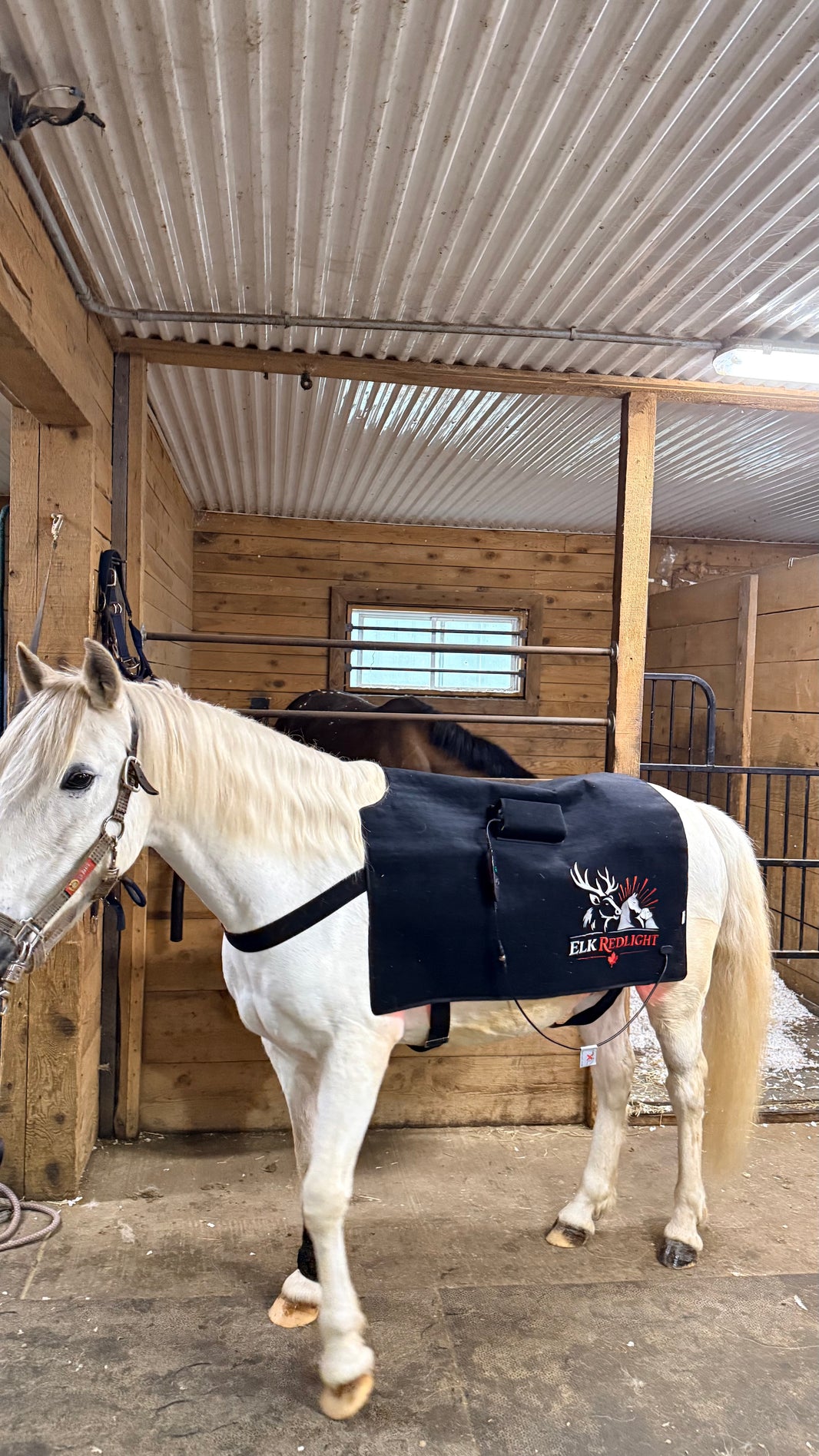 Premium Horse Red Light Therapy Blanket