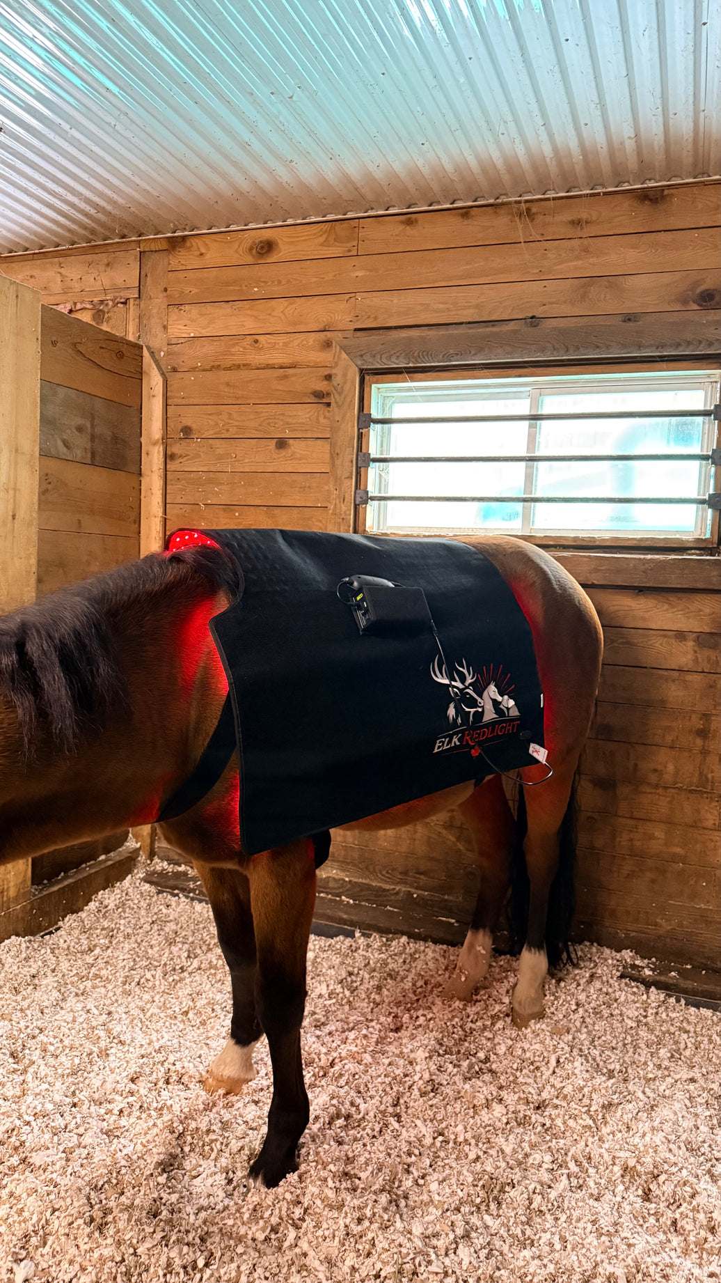 Premium Horse Red Light Therapy Blanket