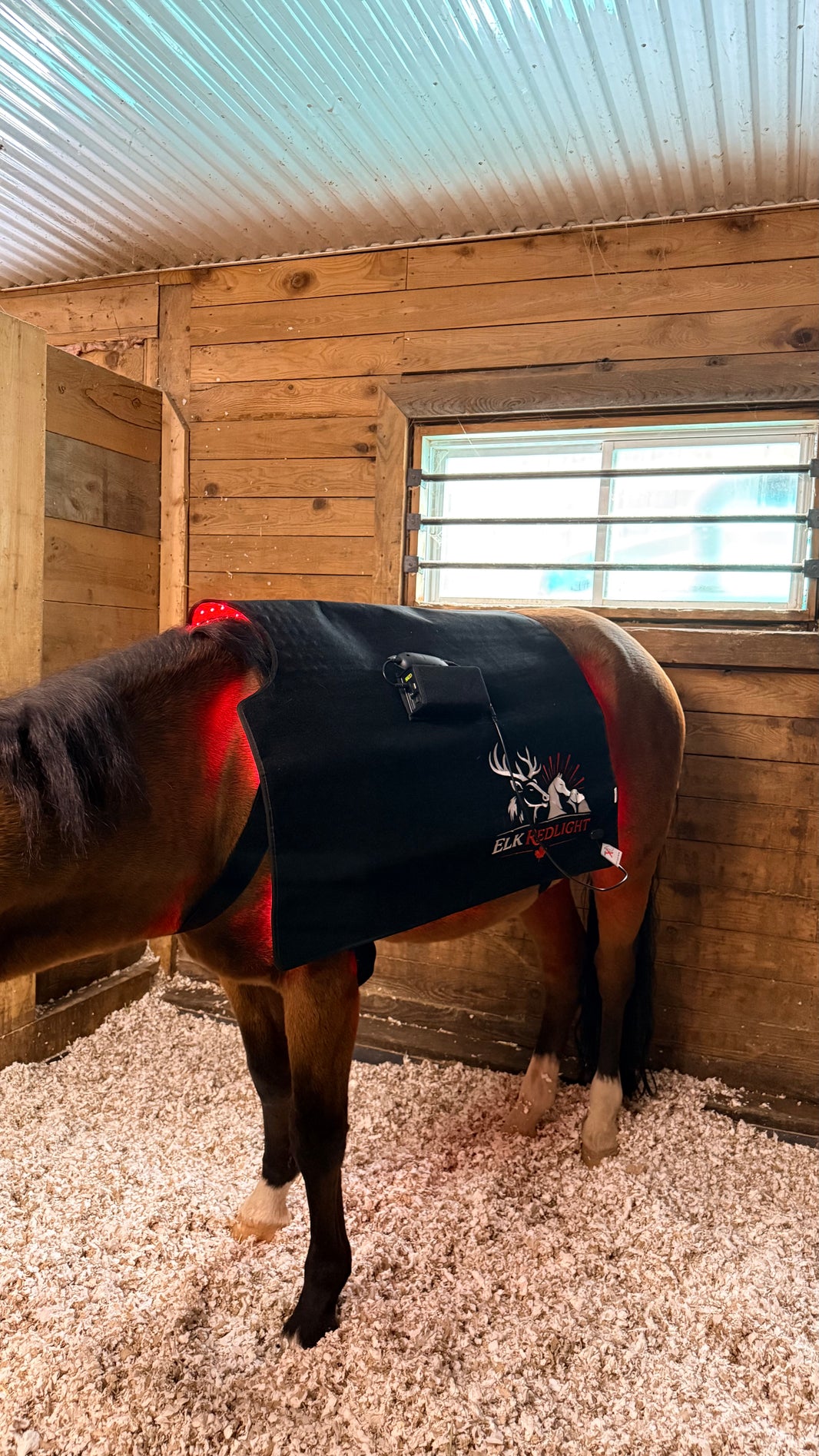 Premium Horse Red Light Therapy Blanket