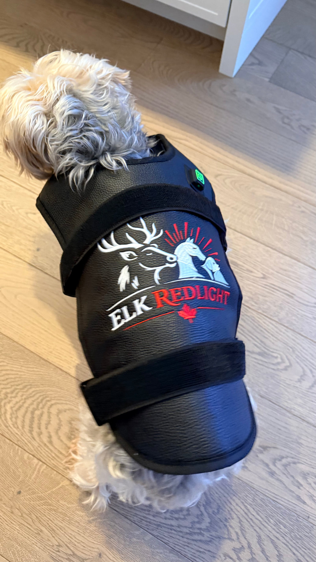 Small Dog & Cat Back Red Light Therapy Wrap