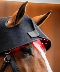 Premium Red Light Therapy Wrap For Horse Head & Neck