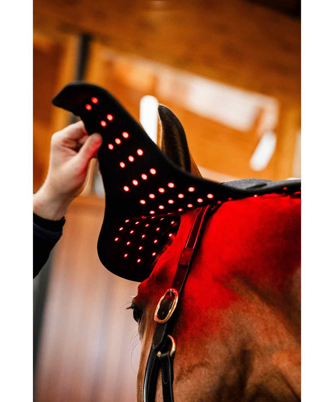 Premium Red Light Therapy Wrap For Horse Head & Neck