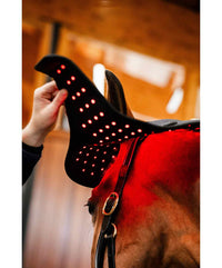 Premium Red Light Therapy Wrap For Horse Head & Neck