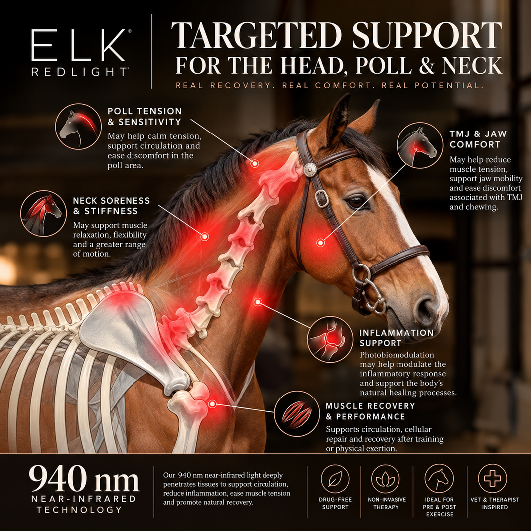 Horse Head & Neck Red Light Therapy Wrap — Larger Coverage