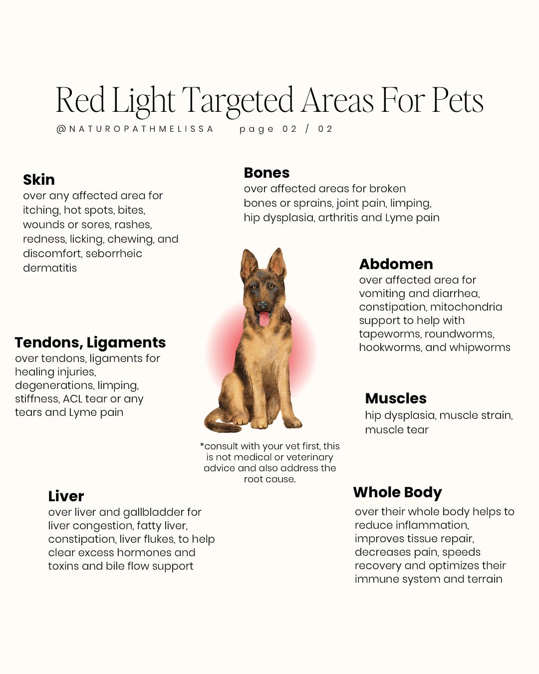 Medium Dog Back Red Light Therapy Wrap