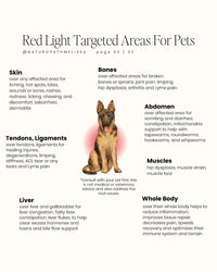 Medium Dog Back Red Light Therapy Wrap