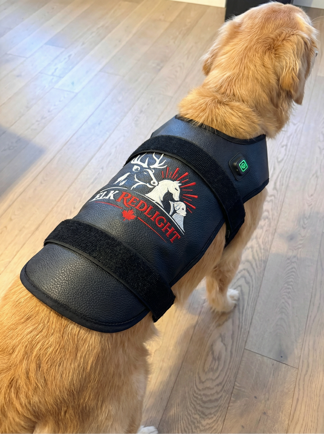Medium Dog Back Red Light Therapy Wrap