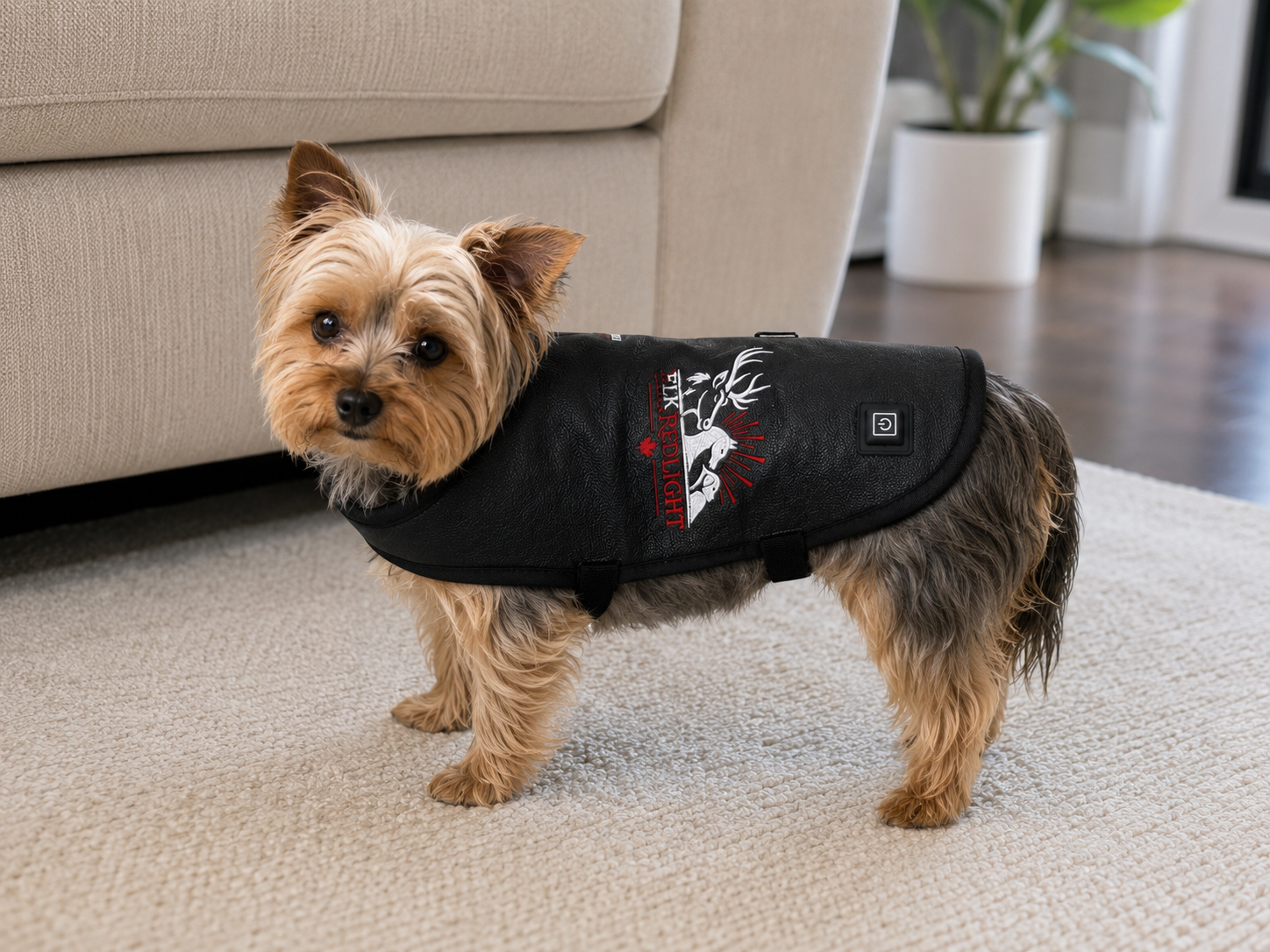 Small dog and cat red light therapy wrap by Elk Canada – 660nm photobiomodulation wrap for small pets
