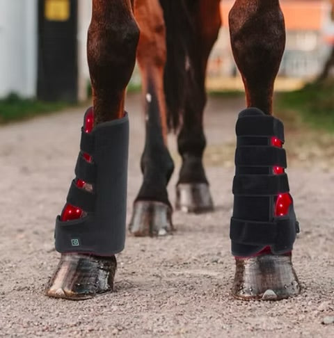 Equine tendon wrap with 660nm 850nm  940 nm red light therapy for horse legs