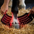 Elk Hoof Wrap- Red Light Therapy for Hoof Health & Recovery