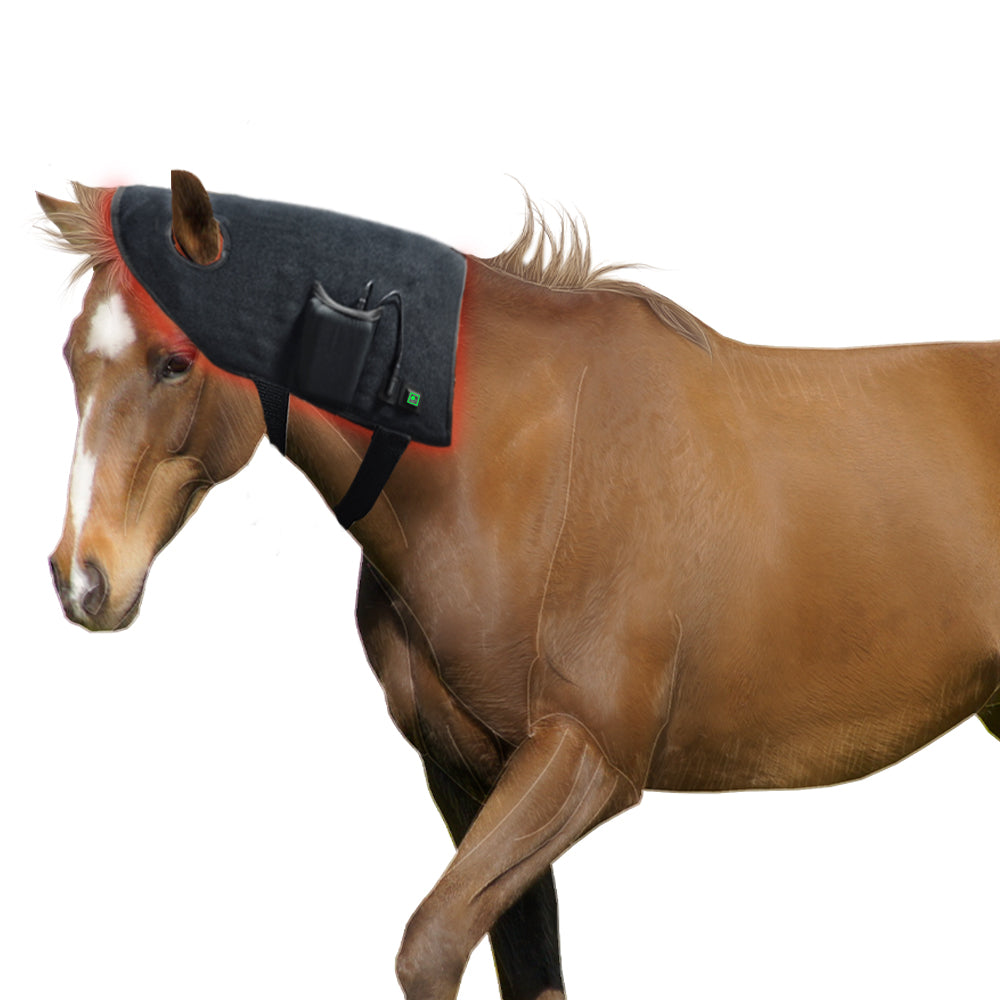 Premium Red Light Therapy Wrap For Horse Head & Neck